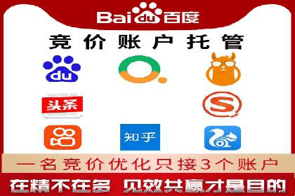 竞价推广策略解析：实战案例分析
