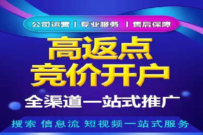 从小白到高手：百度竞价赚钱全记录